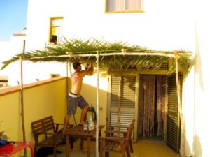 IMG_1