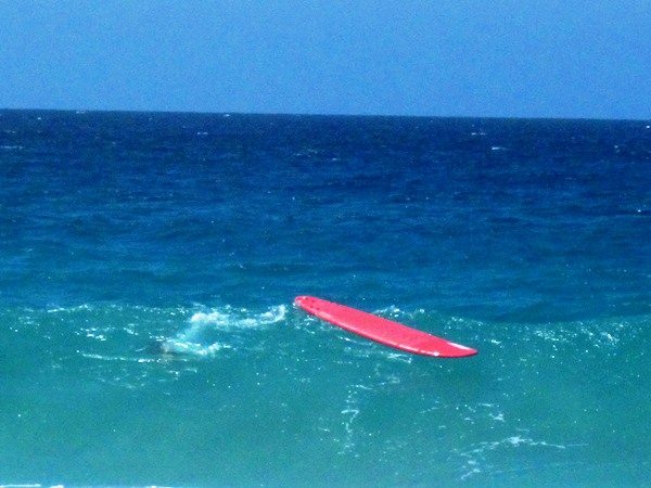 Surflektionen auf Fuerteventura: Wie funktioniert eigentlich Boardrescue?