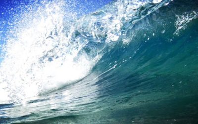 Surfer Know-How – Freshsurf explains some important terms