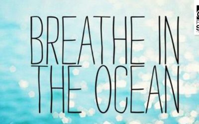 Blog 4 5 empfehlenswerte Surf-Filme – Surf movies für einen schönen Sonntag