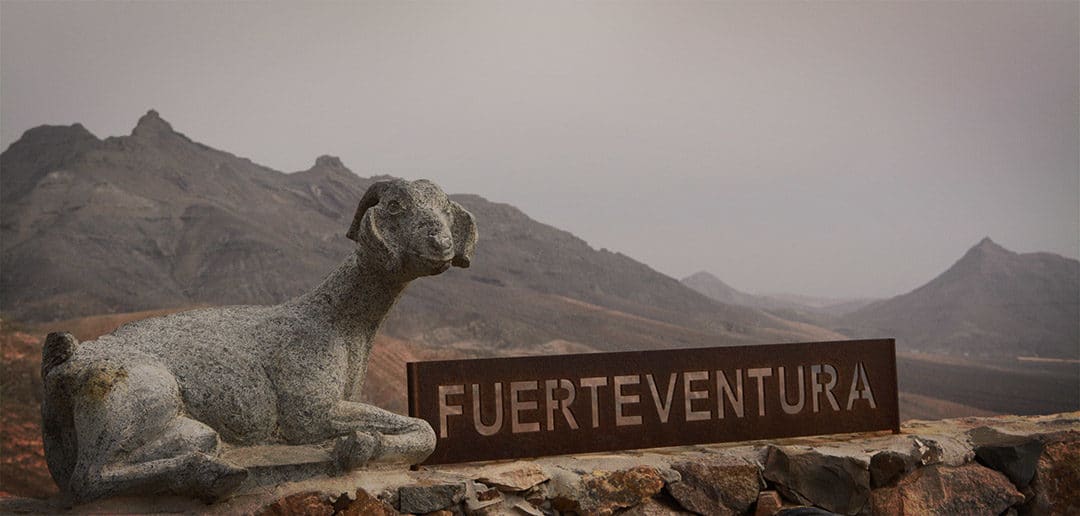 Wusstest du, dass… – 10 Fakten über Fuerteventura
