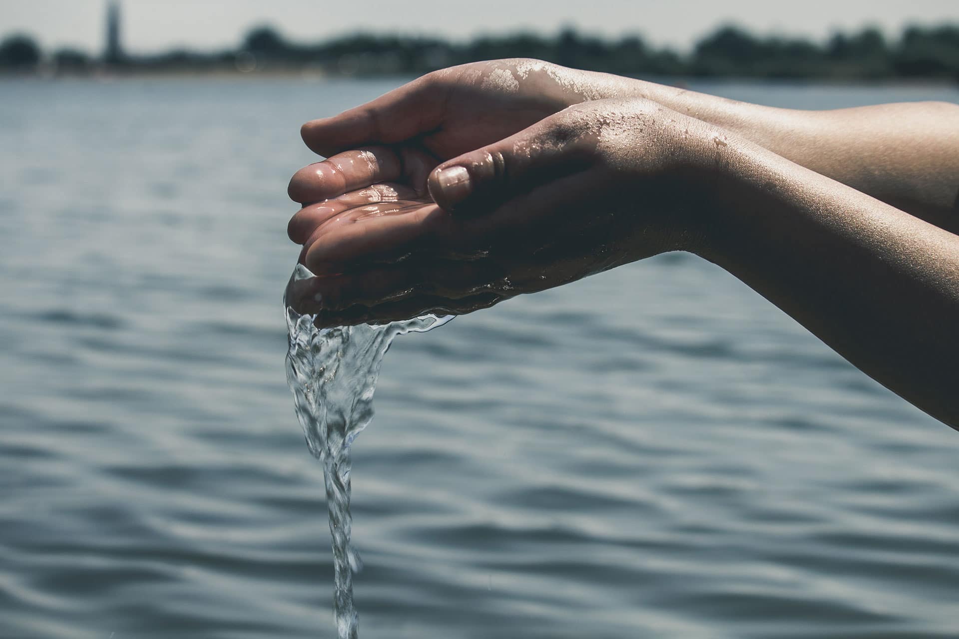Gesunde Ernährung für Surfer - Teil 3 ATCFVMLTU