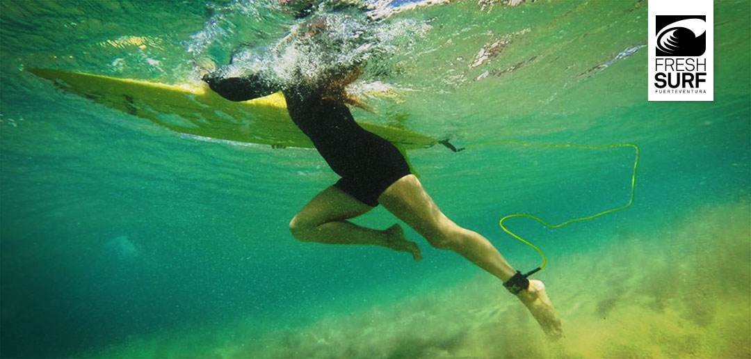 Lover of the Sea Blog