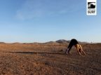 Yoga für Surfer - Wie der Sport deine Surf Skills verbessern kann 10 Ava befindet sich im Vierfüßlerstand