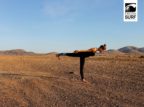 Yoga für Surfer - Wie der Sport deine Surf Skills verbessern kann 12 Die Waage Position fördert die balance