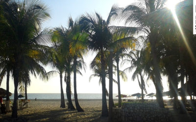Surftrips und Reisetipps - Surfen auf der ganzen Welt 8 Surfurlaub im Paradies – Puerto Escondido, Mexiko