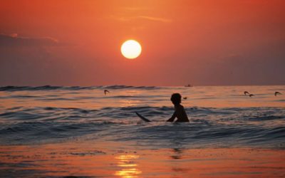 Surftrips und Reisetipps - Surfen auf der ganzen Welt 5 Surfurlaub in den Tropen: Ab nach Sri Lanka!