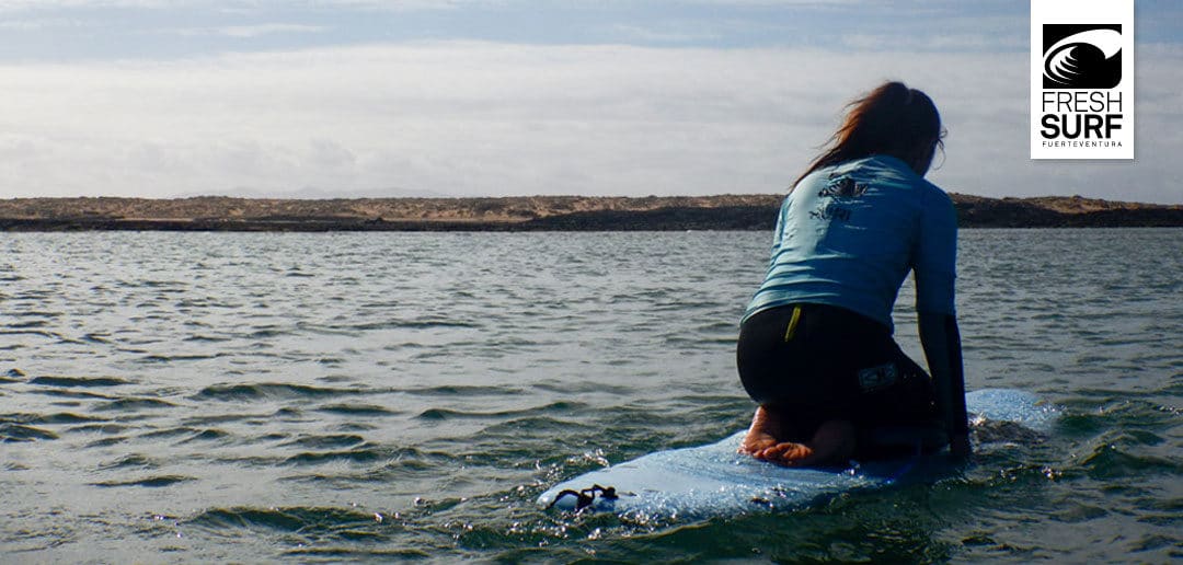 Auf die Surfboards, Fertig und Los! – Unser Fotospezial der KW 2