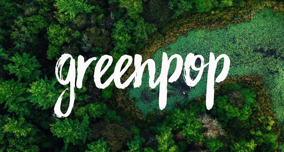 GREENPOP – wo Bäume & Menschen zusammen wachsen und gedeihen