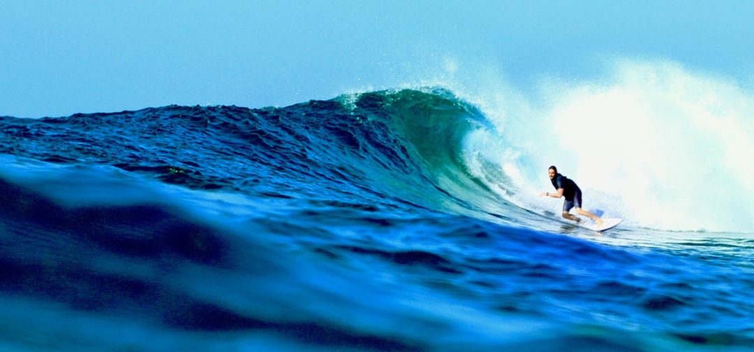 Surfwissen
