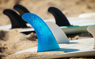 Surfboard Finnen – alles was du wissen musst