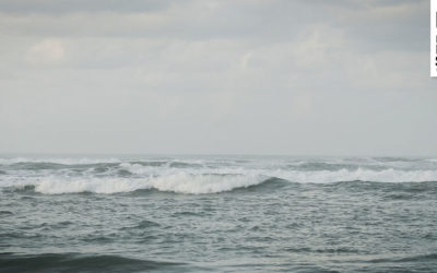 Surfen in Norddeutschland – Ein Hoch auf St. Peter Ording