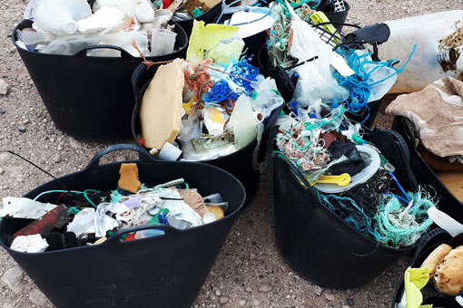 Plastik-und-Müll-sammeln