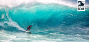 the wedge california