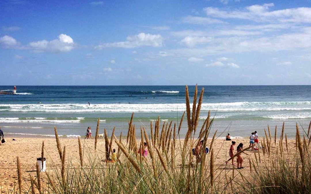 Die Surftour an der Atlantikküste