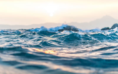 Entrenamiento mental para surfistas: por qué la cabeza es un músculo importante