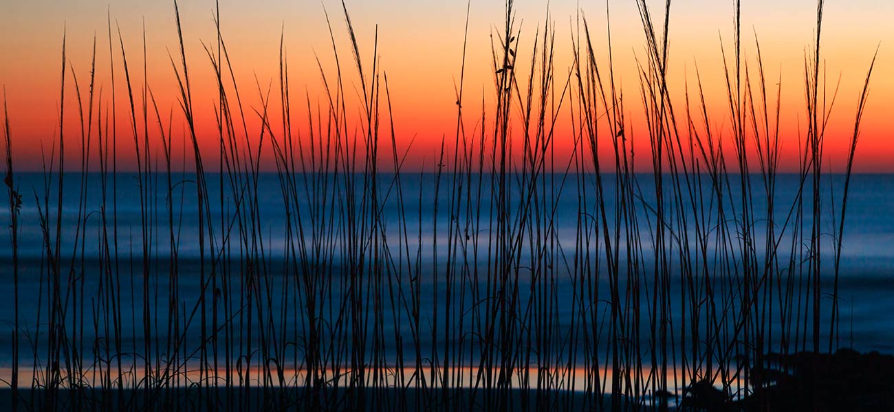 surfcampfrankreich duenenlandschaft