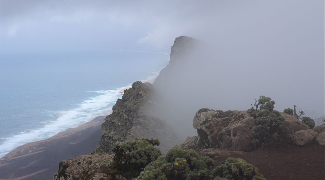 Pico de la Zarza – Fuerteventuras höchster Berg mit tollem Ausblick