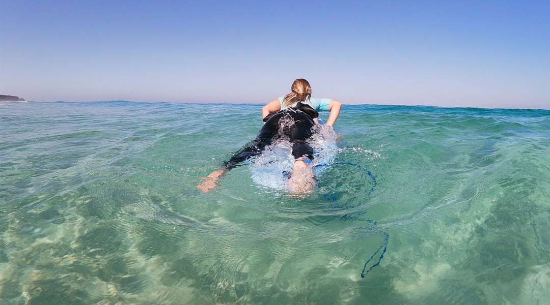 wellenquerung wie lerne ich surfen