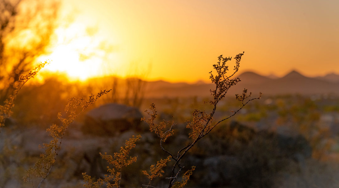 Urlaubsfotos-goldenhour