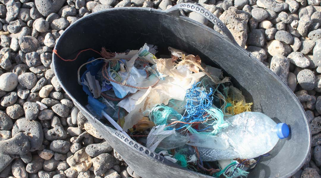 Beach Clean Up Plastik