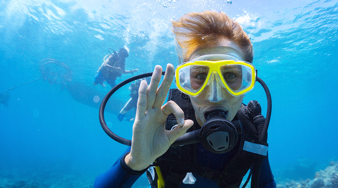 surfing and diving diver surfing and diving diver