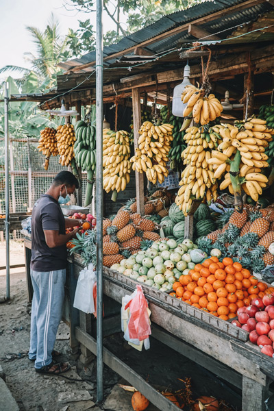Surfurlaub auf Sri Lanka-Markt