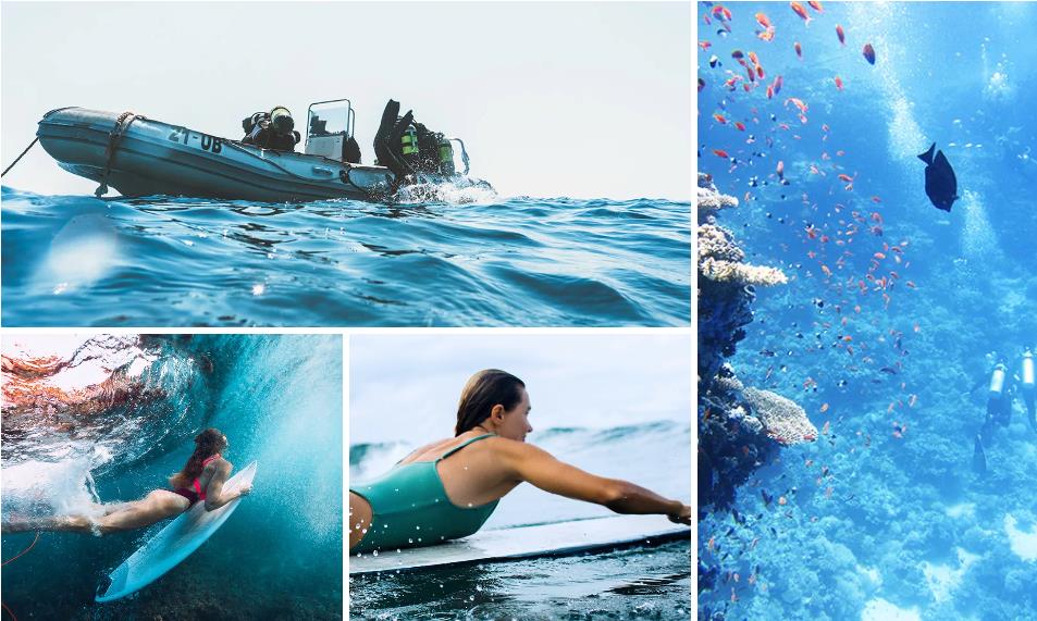 surfen und tauchen fuerteventura