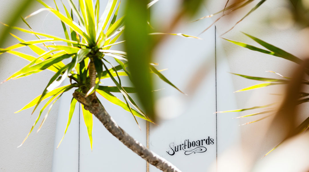 consejos sobre material de surf