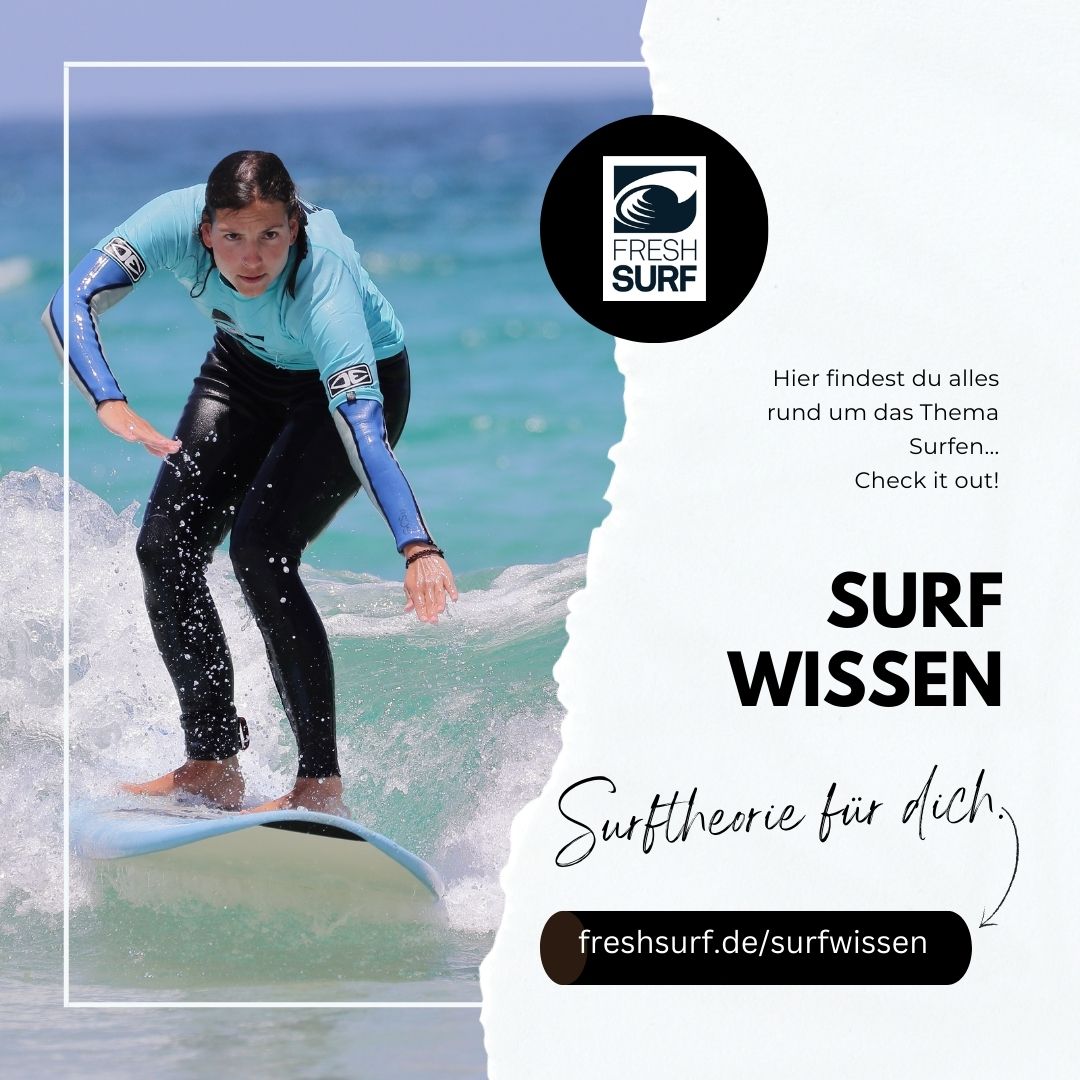 surfwissen - header