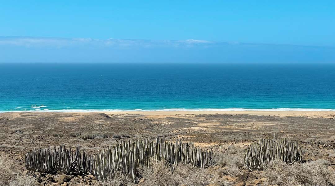 surfen im süden von fuerteventura - cofete