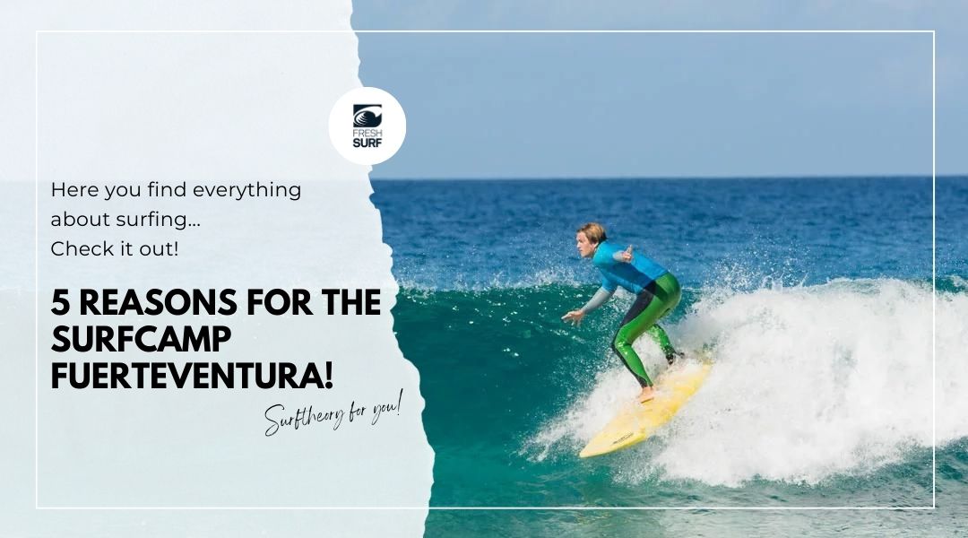 reasons for the surfcamp fuerteventura