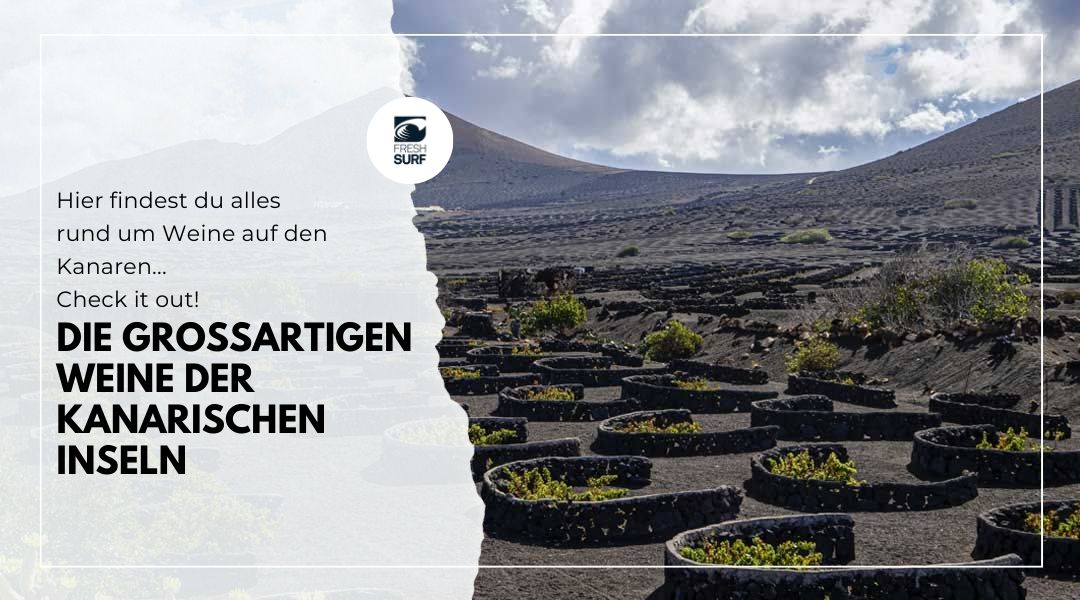 Der großartige Wein der Kanaren