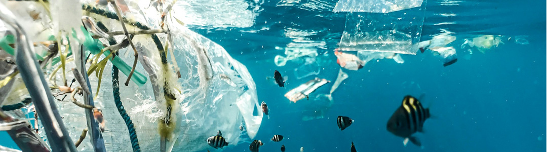 schutz-der-ozeane-plastik