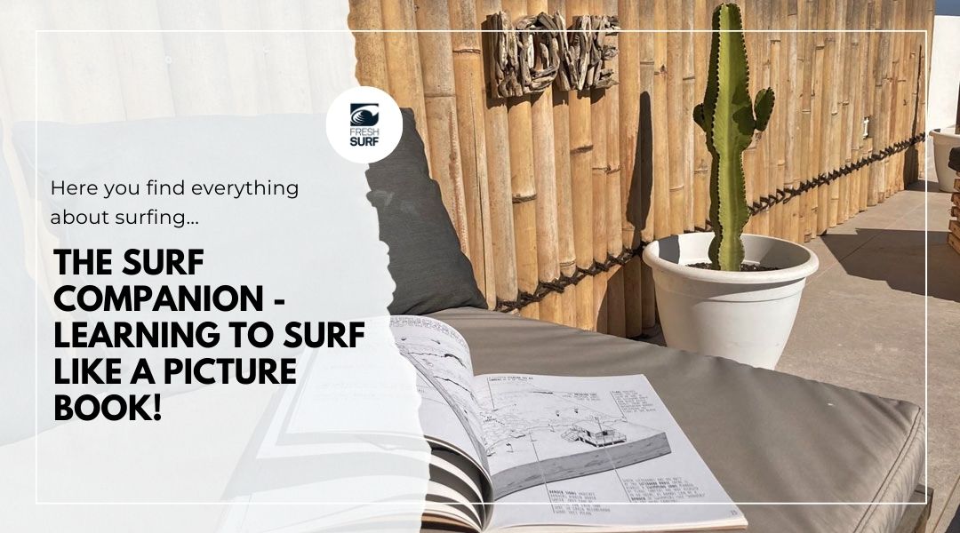 surf companions - surfing like a picture book surf companions - learning to surf like a picture book