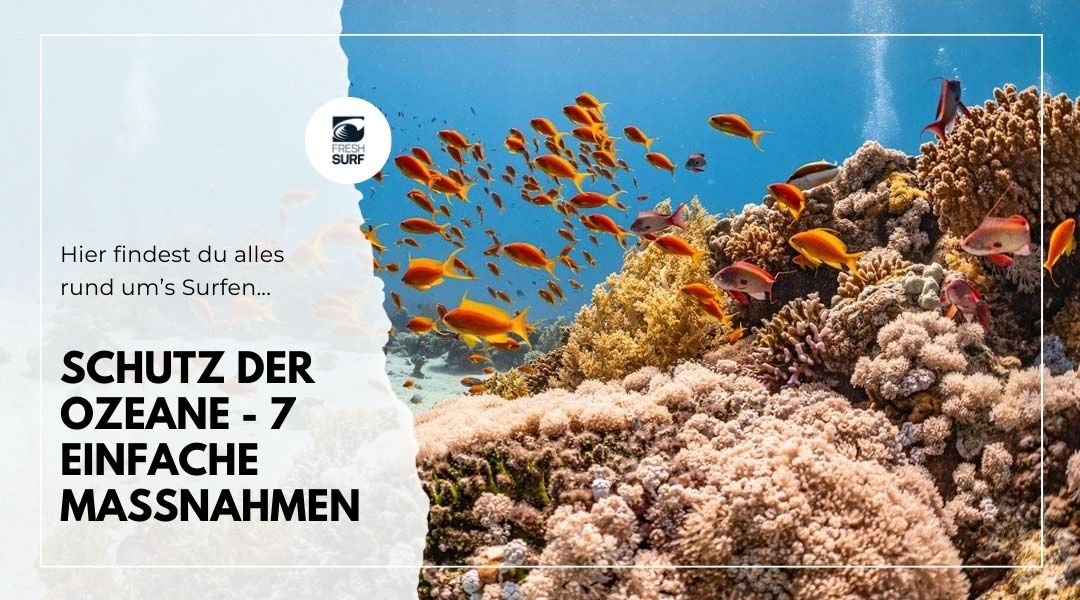 schutz der ozeane und meere 7 Maßnahmen zum Schutz der Ozeane