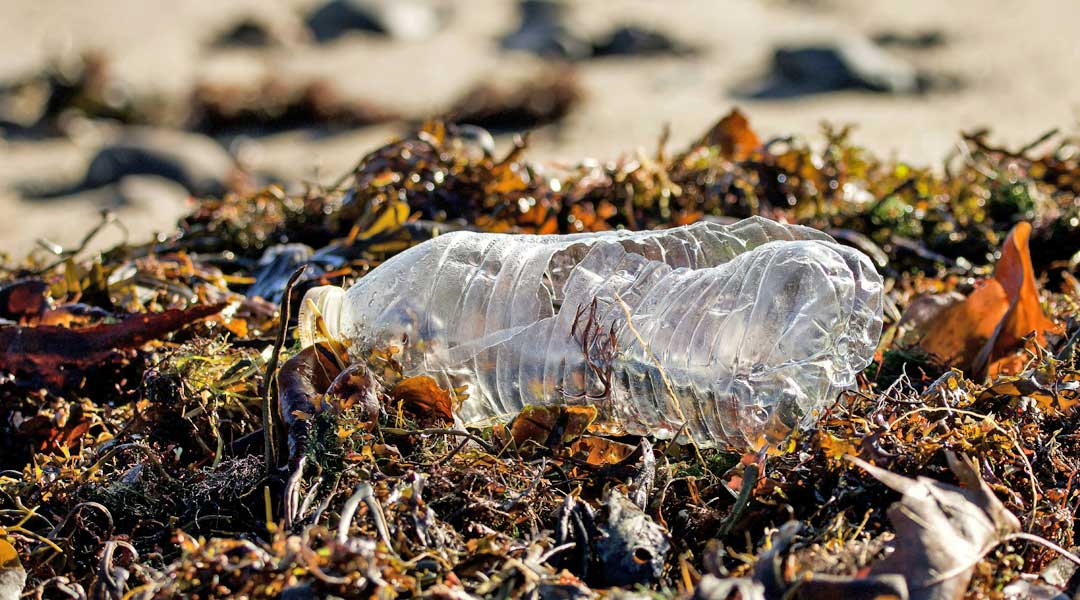 verantwortungsbewusstes verhalten im wasser - plastikmüll am strand