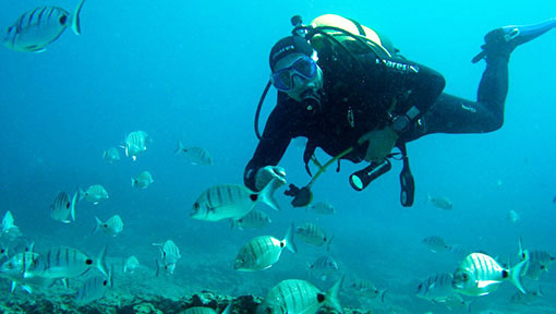 Tauchen in Corralejo