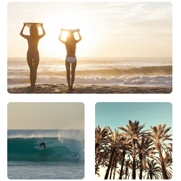 surfcamp fuerteventura vibe