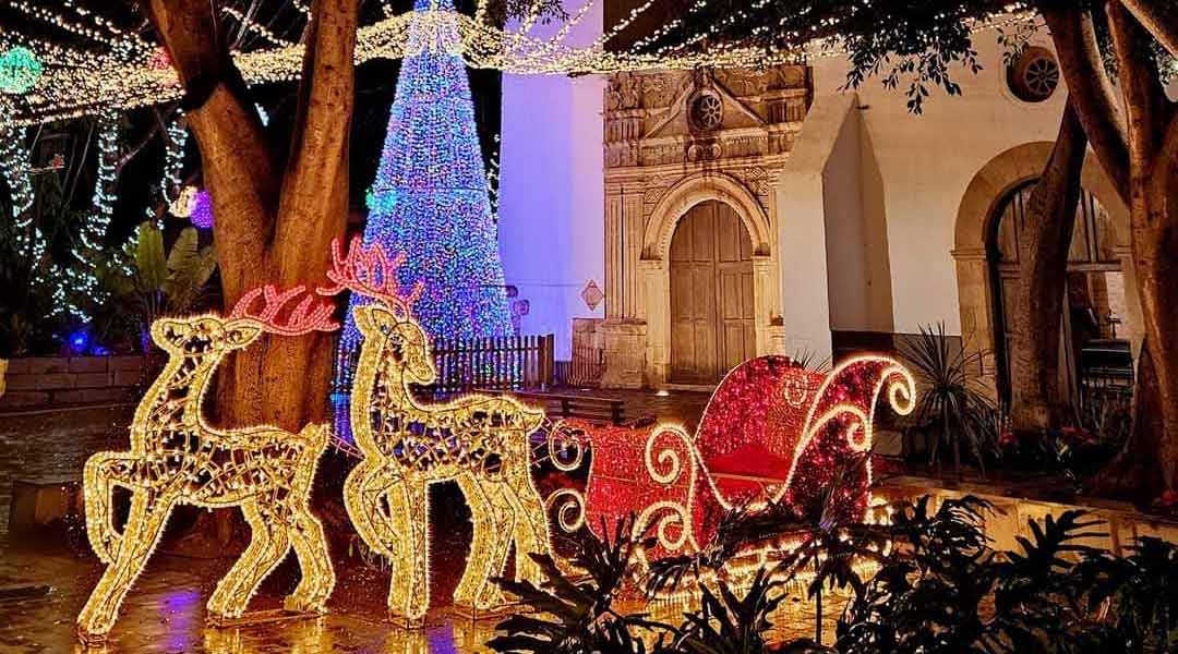Christmas-by-the-sea decorations<br>
