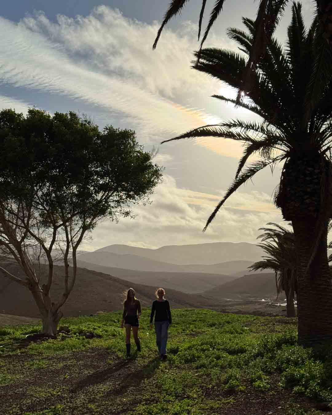 Gruenes Fuerteventura Abendstimmung