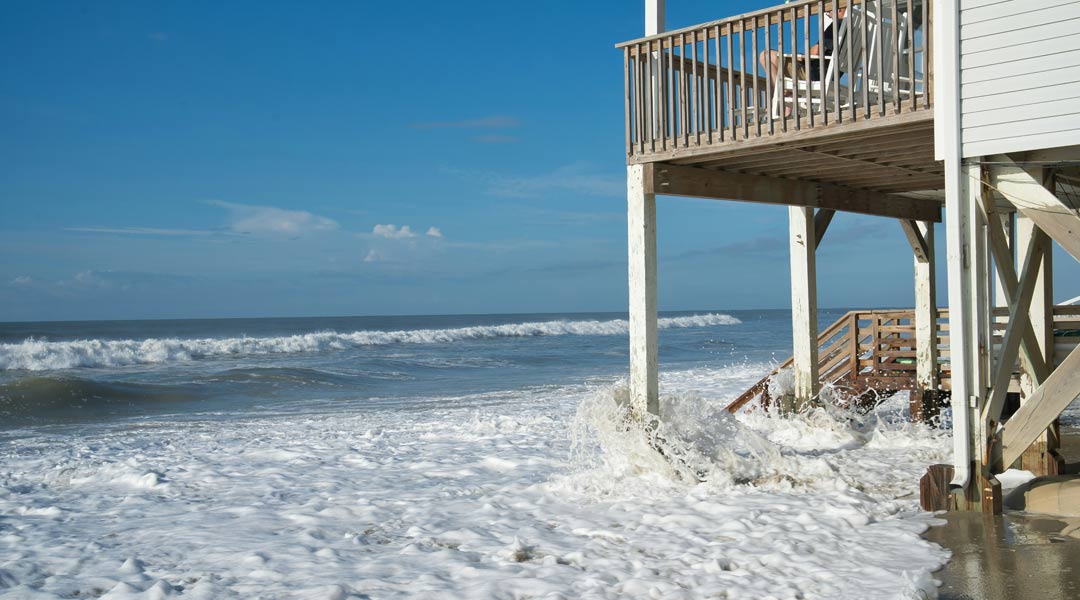 clint patterson SYpWSInV U8