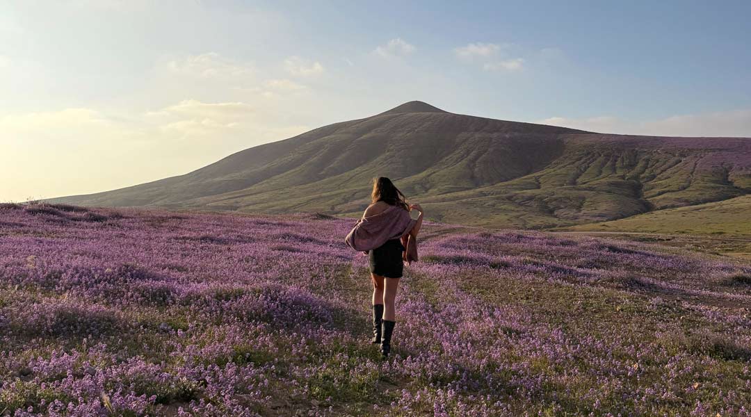 Sommergefühle Februar Monatsrückblick