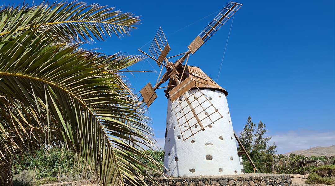 ferienhaus in el cotillo ausflug