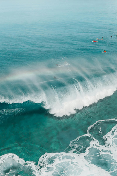 teoría del surf ola teoría del surf ola
