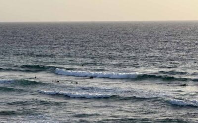 Blog 1 surfen 1